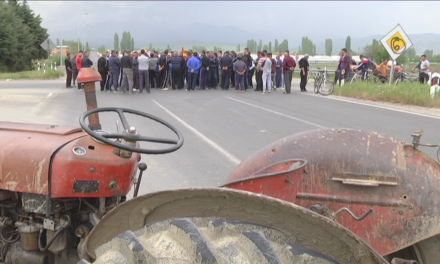 Земјоделците и денес на протест.Бараат повиски откупни цени на зелката,краставицата и лутата пиперка.